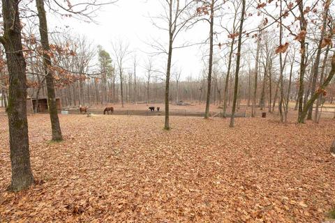 14500 Norman Davis, Alexander, AR 72002 photo 4