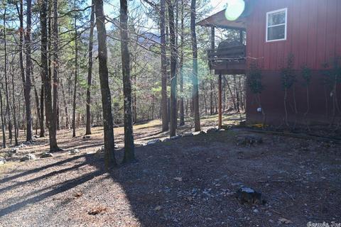 301 Hickory Rdg, Mount Ida, AR 71957 photo 44