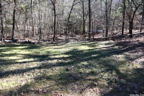 301 Hickory Rdg, Mount Ida, AR 71957 photo 41