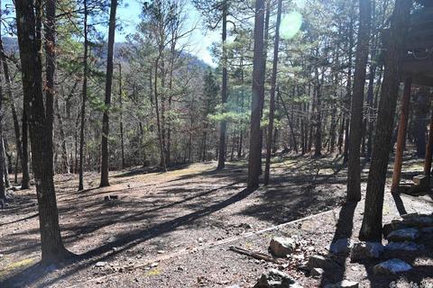 301 Hickory Rdg, Mount Ida, AR 71957 photo 43