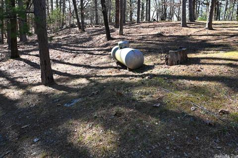301 Hickory Rdg, Mount Ida, AR 71957 photo 34