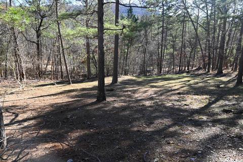 301 Hickory Rdg, Mount Ida, AR 71957 photo 40