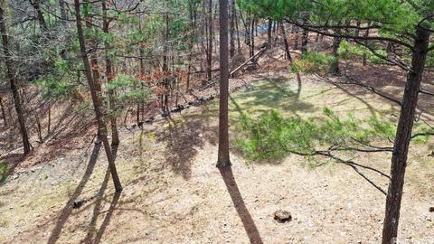 301 Hickory Rdg, Mount Ida, AR 71957 photo 33