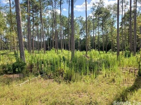 876 Highline Ln, Malvern, AR 72104 photo 10
