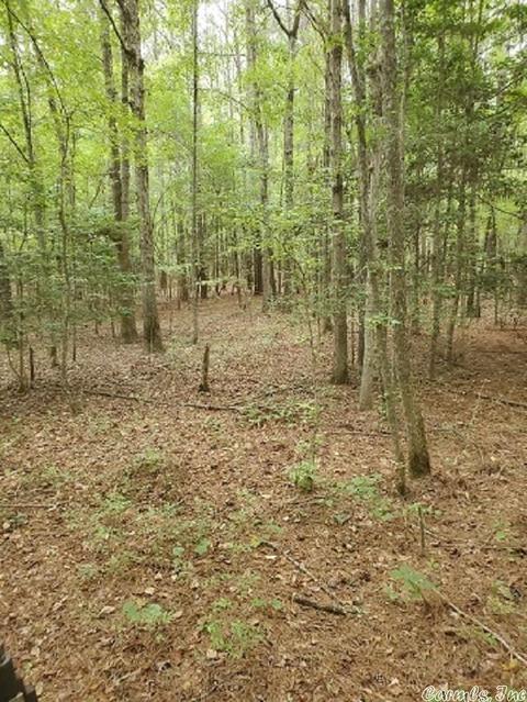 876 Highline Ln, Malvern, AR 72104 photo 16