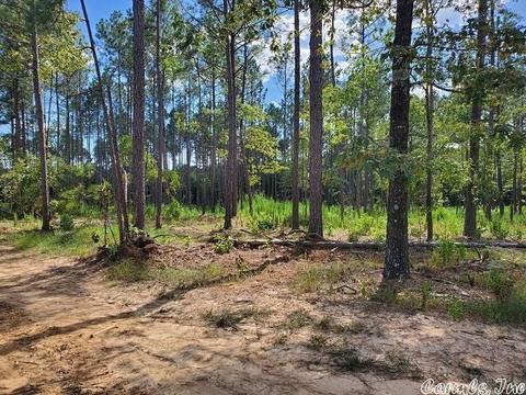 876 Highline Ln, Malvern, AR 72104 photo 9