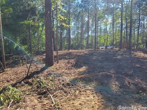 876 Highline Ln, Malvern, AR 72104 photo 13