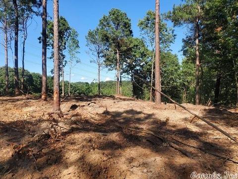 876 Highline Ln, Malvern, AR 72104 photo 11