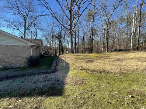 2210 Banny Dr, Benton, AR 72019 photo 42