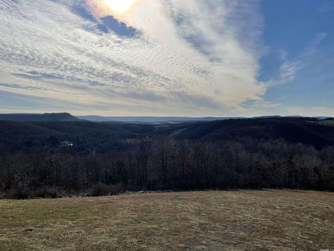 1591 Mitchell Rd, Mountain View, AR 72560 photo 29