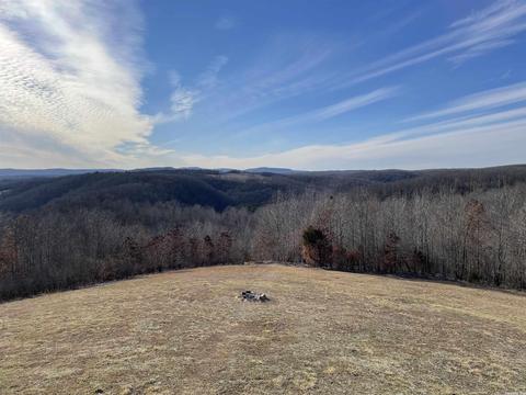 1591 Mitchell Rd, Mountain View, AR 72560 photo 24