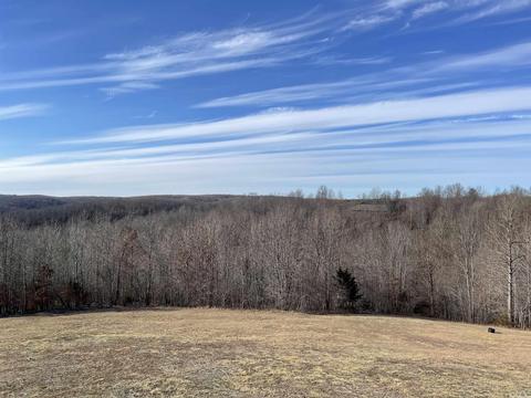 1591 Mitchell Rd, Mountain View, AR 72560 photo 28