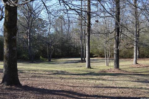 12113 Dodder, Alexander, AR 72002 photo 5