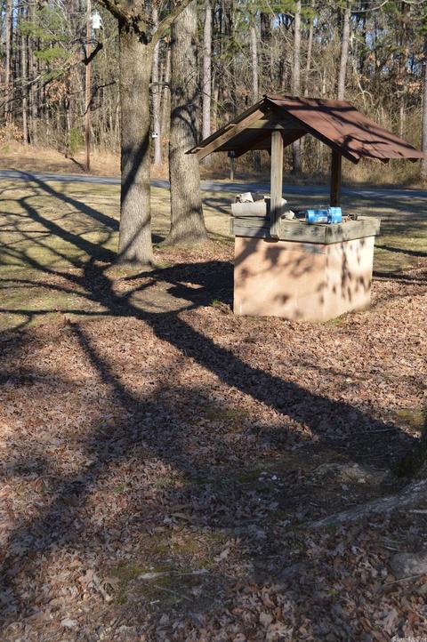 12113 Dodder, Alexander, AR 72002 photo 11