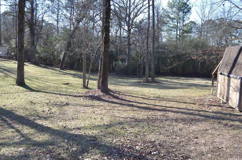 12113 Dodder, Alexander, AR 72002 photo 9