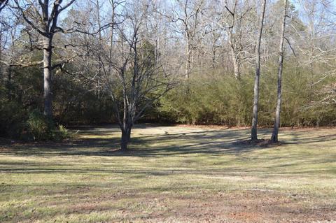 12113 Dodder, Alexander, AR 72002 photo 6