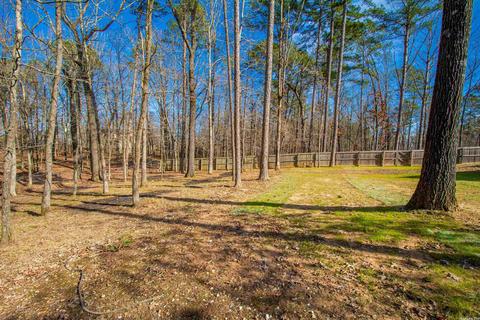 2500 Tamra Ln, Alexander, AR 72002 photo 41