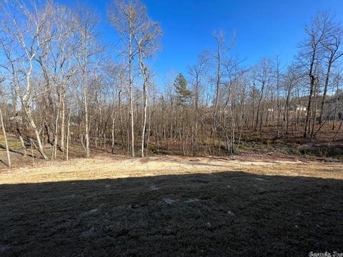 471 Reuben, Alexander, AR 72002 photo 29