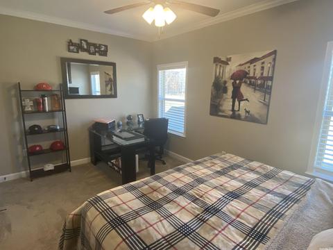 6033 Kamden Cv, Alexander, AR 72002 photo 25