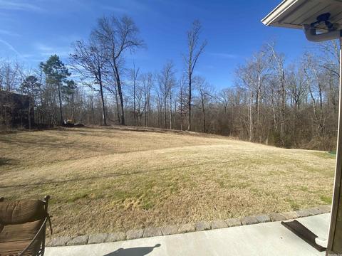 6033 Kamden Cv, Alexander, AR 72002 photo 29