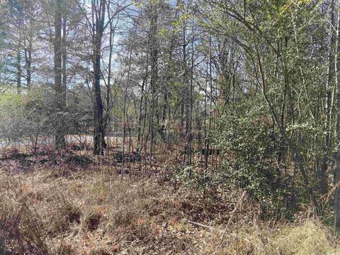 tbd Sunshine Rd, Pearcy, AR 71964 photo 3
