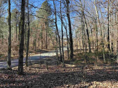 661 Rigsby Loop, Lonsdale, AR 72087 photo 24