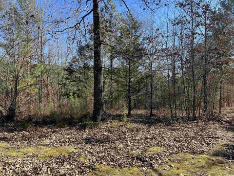661 Rigsby Loop, Lonsdale, AR 72087 photo 21