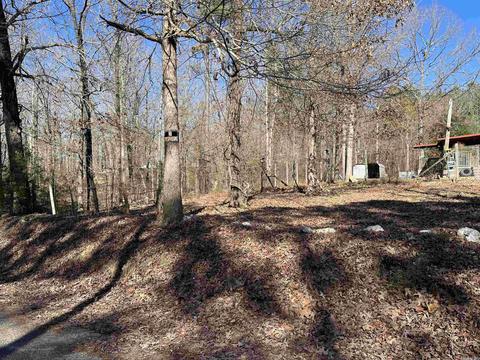 661 Rigsby Loop, Lonsdale, AR 72087 photo 26