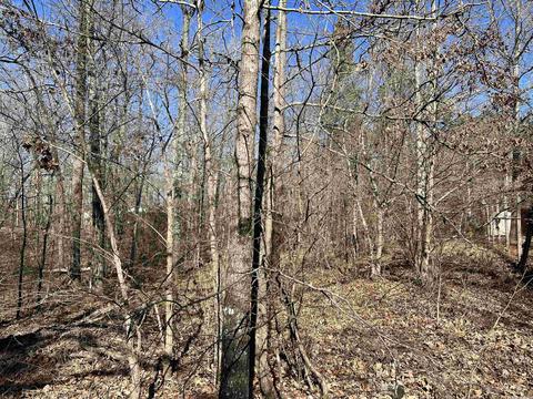 661 Rigsby Loop, Lonsdale, AR 72087 photo 19