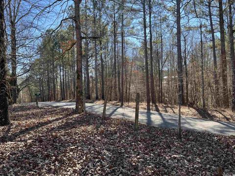 661 Rigsby Loop, Lonsdale, AR 72087 photo 23