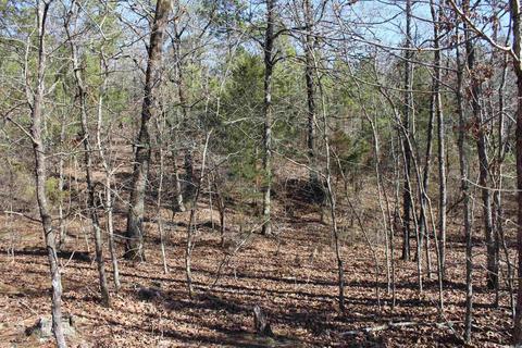 278 Amber Ln, Mena, AR 71953 photo 22