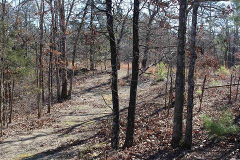 278 Amber Ln, Mena, AR 71953 photo 21