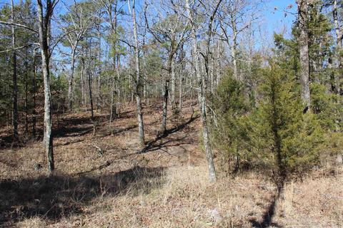 278 Amber Ln, Mena, AR 71953 photo 24