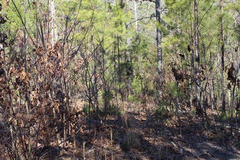 278 Amber Ln, Mena, AR 71953 photo 20