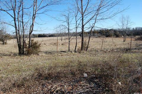 5123 Creel Rd, Harrison, AR 72601 photo 13