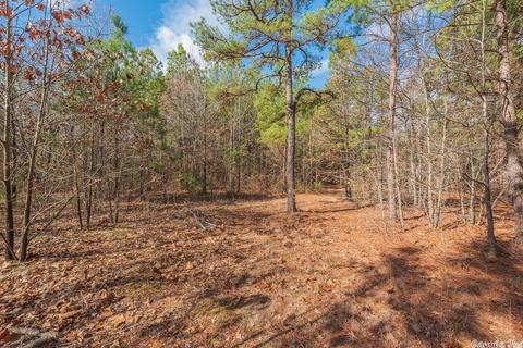 24 Stuart Rd, Greenbrier, AR 72058 photo 16