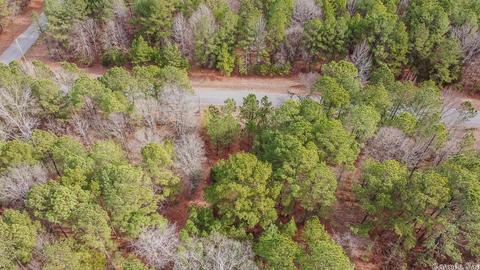 24 Stuart Rd, Greenbrier, AR 72058 photo 3