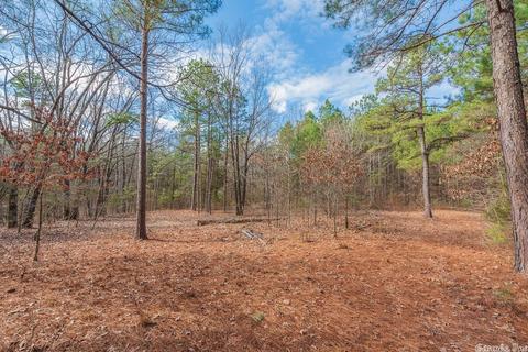 24 Stuart Rd, Greenbrier, AR 72058 photo 11