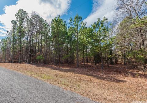 24 Stuart Rd, Greenbrier, AR 72058 photo 17