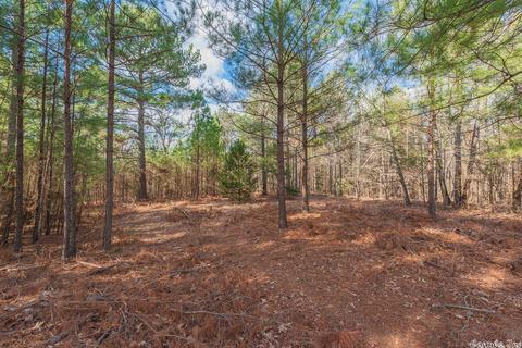 24 Stuart Rd, Greenbrier, AR 72058 photo 14