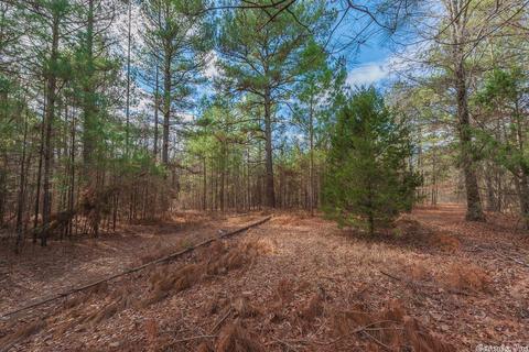 24 Stuart Rd, Greenbrier, AR 72058 photo 9