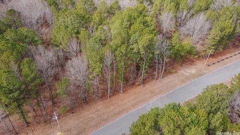 24 Stuart Rd, Greenbrier, AR 72058 photo 19