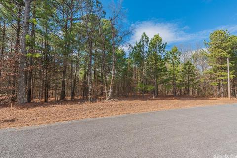 24 Stuart Rd, Greenbrier, AR 72058 photo 8