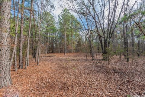 24 Stuart Rd, Greenbrier, AR 72058 photo 12