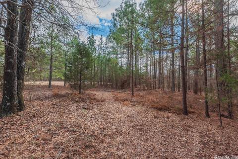 24 Stuart Rd, Greenbrier, AR 72058 photo 10
