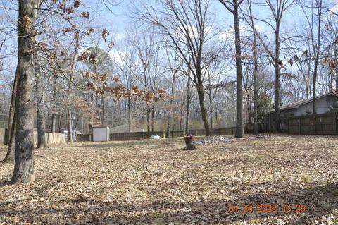 1208 Denny Dr, Alexander, AR 72002 photo 44