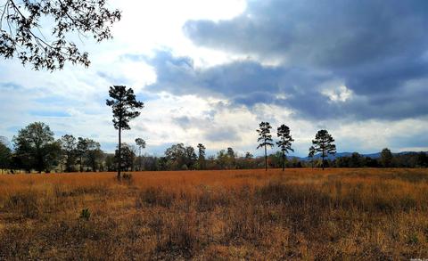5525 Hwy 88 E, Mena, AR 71953 photo 8