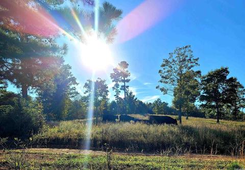 5525 Hwy 88 E, Mena, AR 71953 photo 10