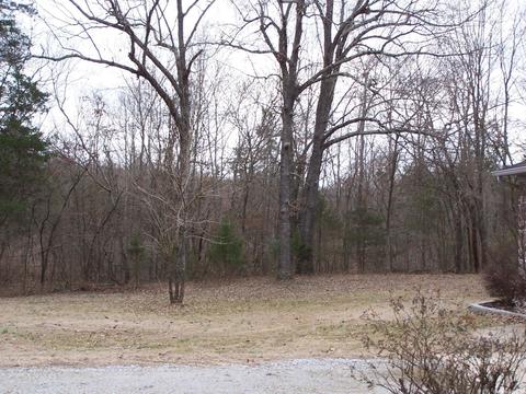 85 Hwy 63, Ravenden, AR 72459 photo 10