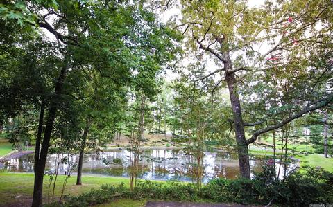 7324 Rudolph, Alexander, AR 72002 photo 11